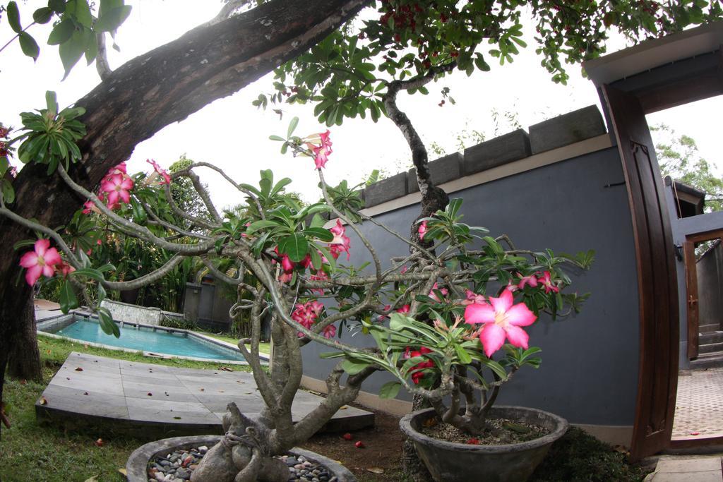 Villa D'Suite Seminyak Exteriér fotografie